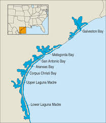 laguna madre.jpg